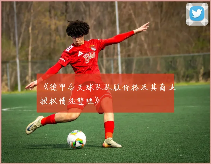 《德甲各支球队队服价格及其商业授权情况整理》