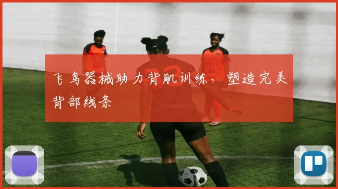 飞鸟器械助力背肌训练，塑造完美背部线条