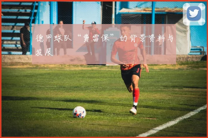 德甲球队“费雷保”的背景资料与发展