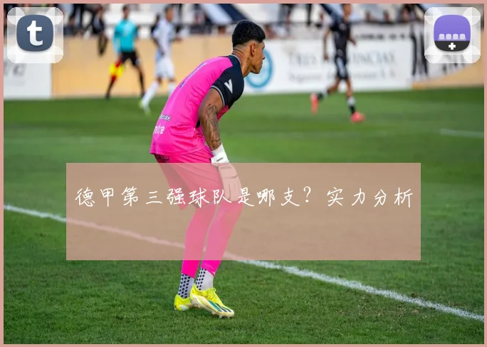 德甲第三强球队是哪支？实力分析