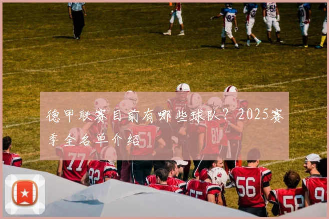 德甲联赛目前有哪些球队？2025赛季全名单介绍