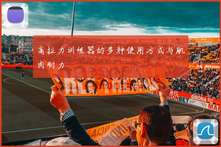 高拉力训练器的多种使用方式与肌肉耐力